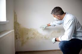 Forensic Mold Investigation in Blackhawk, CA